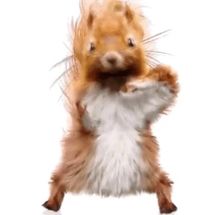 Blurred dancing squirrel meme template