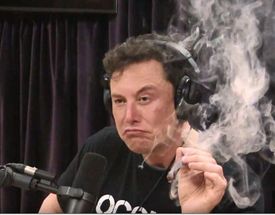 Elon Musk smoking a joint meme