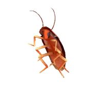Blurred Dancing Roach meme template