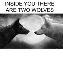 Inside you there are two wolves meme