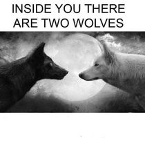 Inside you there are two wolves meme