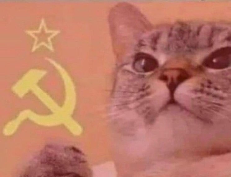 Communist Cat Meme Generator - Piñata Farms - The best meme generator and  meme maker for video & image memes