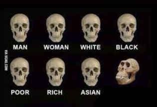 Blurred Neanderthal skull meme template