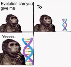 Blurred Evolution Can You Give Me A meme template